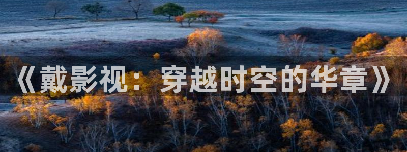 琪琪午夜伦理影院的播出平台：《戴影视：穿越时空的华章》