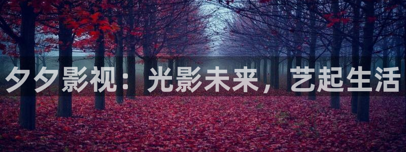 琪琪免费电影院：夕夕影视：光影未来，艺起生活