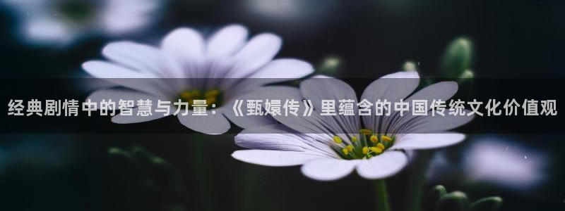 琪琪影院伦理片在线：经典剧情中的智慧与力量：《甄嬛传》里蕴含的中国传统文化价值观