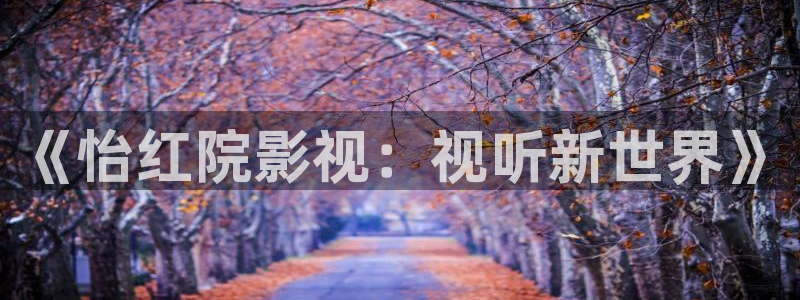 琪琪成人影院：《怡红院影视：视听新世界》