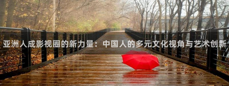琪琪影视大全：亚洲人成影视圈的新力量：中国人的多元文化视角与艺术创新