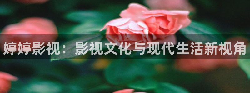 琪琪色成人影院：婷婷影视：影视文化与现代生活新视角