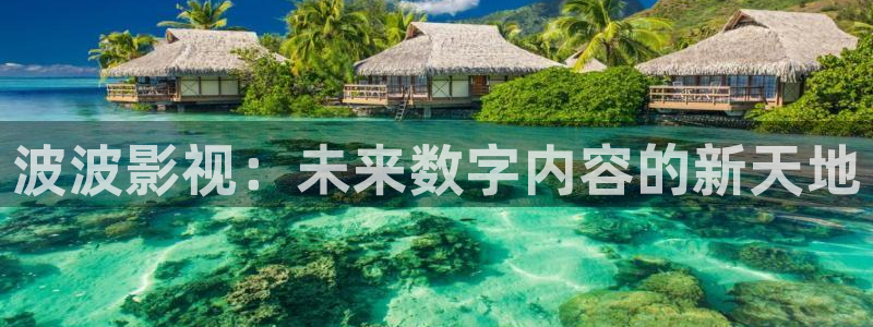 琪琪影院：波波影视：未来数字内容的新天地