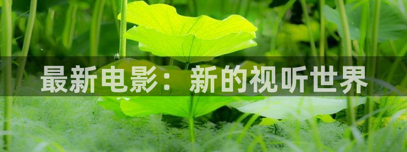 琪琪在线播放影院：最新电影：新的视听世界